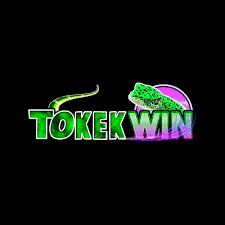 TOKEKWIN - Pembuat Logo Terbaik untuk Kreativitas Anda